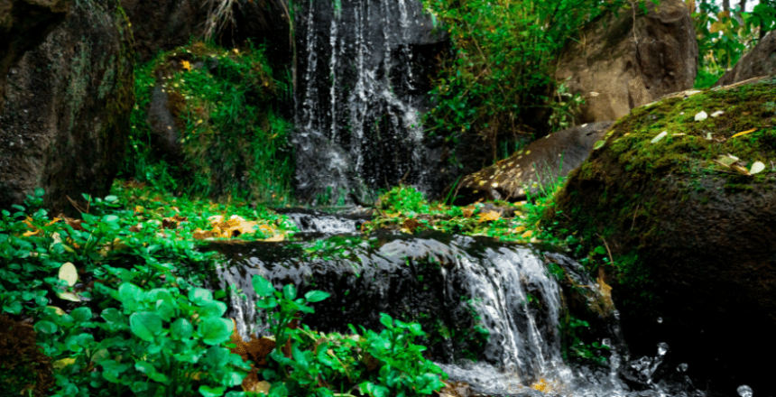 מים מינרליים ישירות מהברז