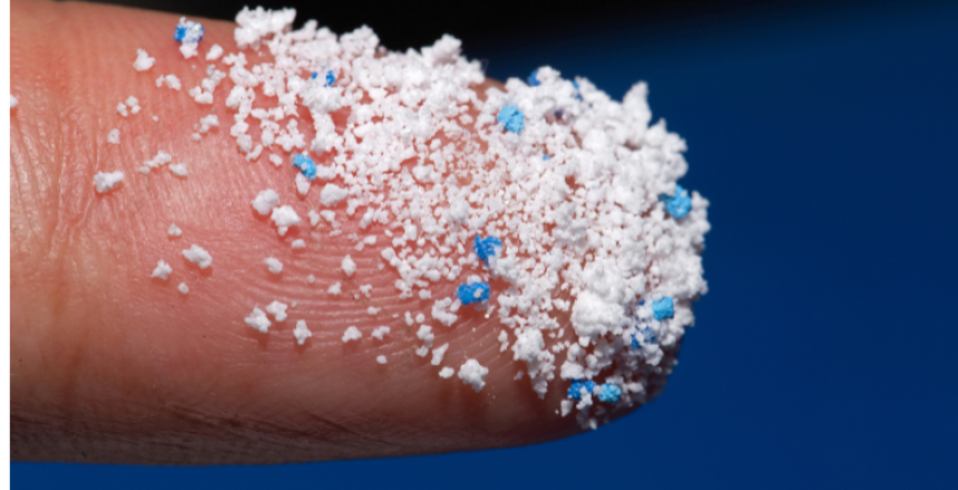 מיקרופלסטיק נמצא באיברי רבייה גבריים